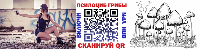 наркотики  Унеча  Псилоцибиновые грибы прущие грибы 